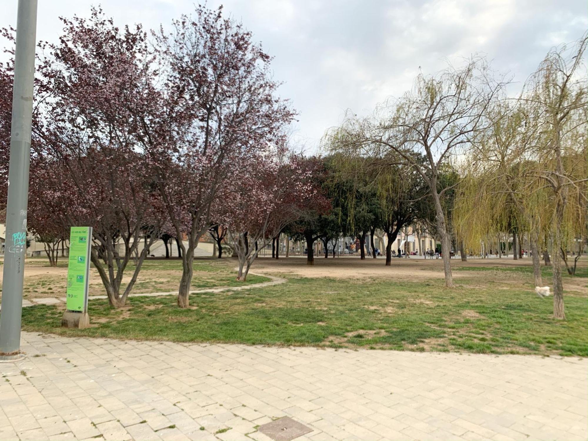 Ferienwohnung Creu Fira Hostafrancs Barcelona Exterior foto